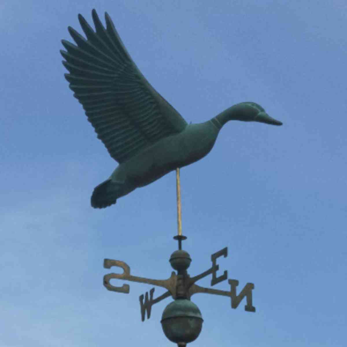 Duck_weathervane