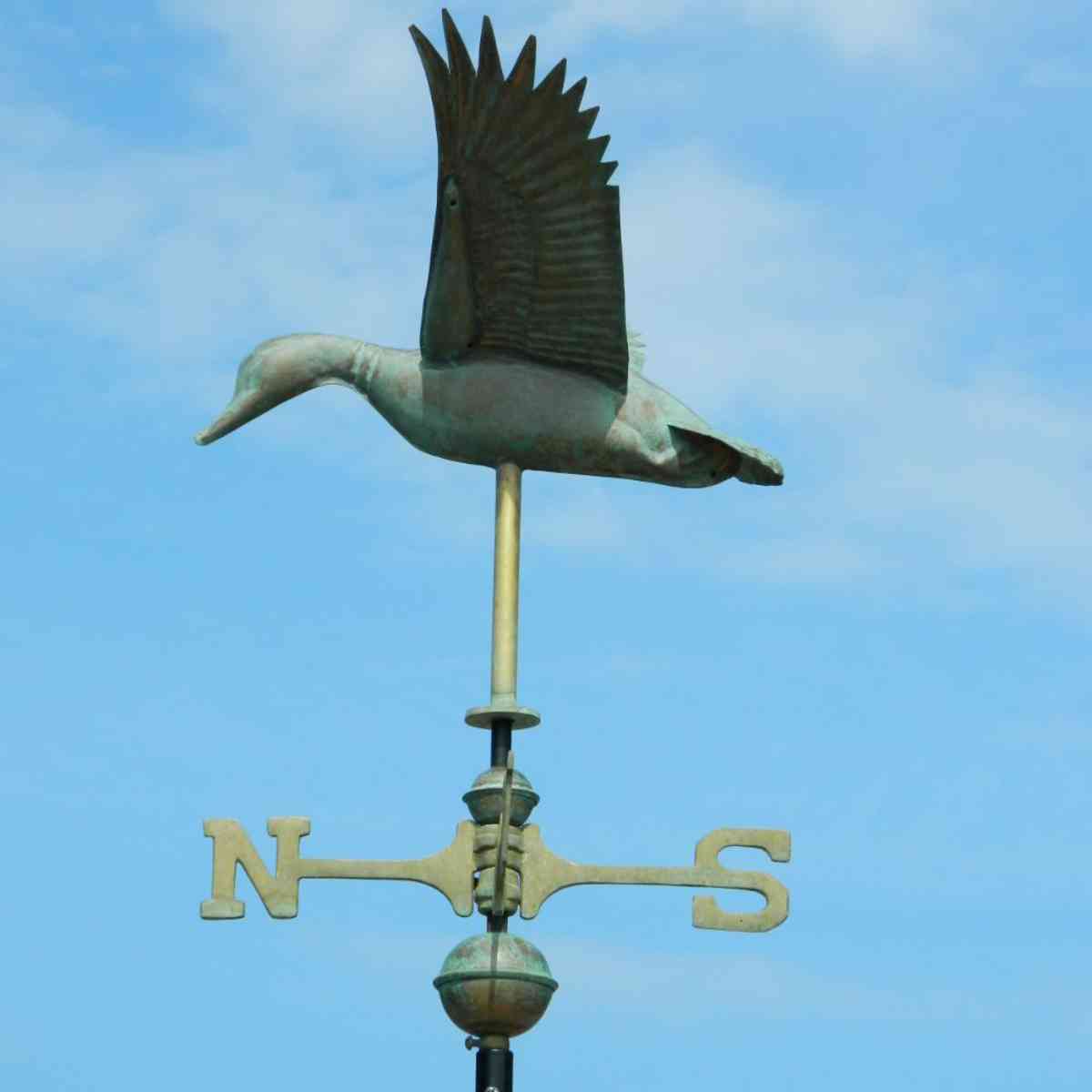 Natural_Aged_Copper_Cottage_Flying_Duck_Weathervane__1594282747_639.jpg