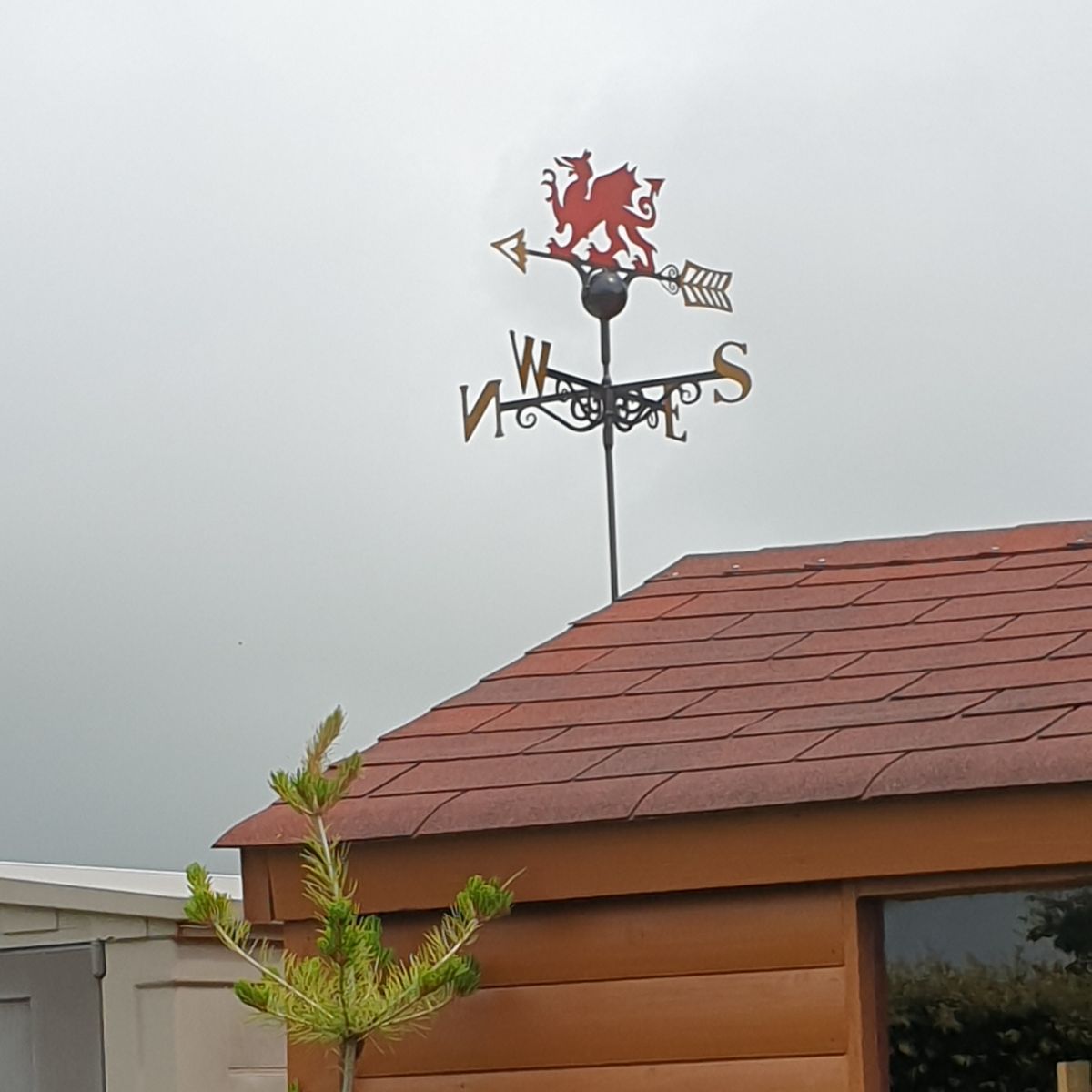 Red_Welsh_Dragon_Weathervane_Instaleld_On_Shed