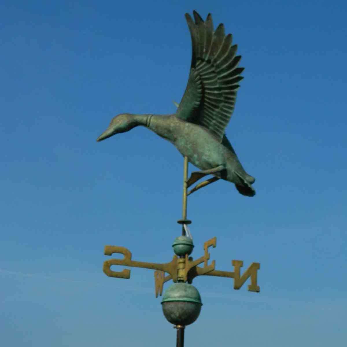 flying_duck_verdigris_copper_weathervane